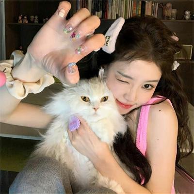 猫和老鼠:回到奥兹
